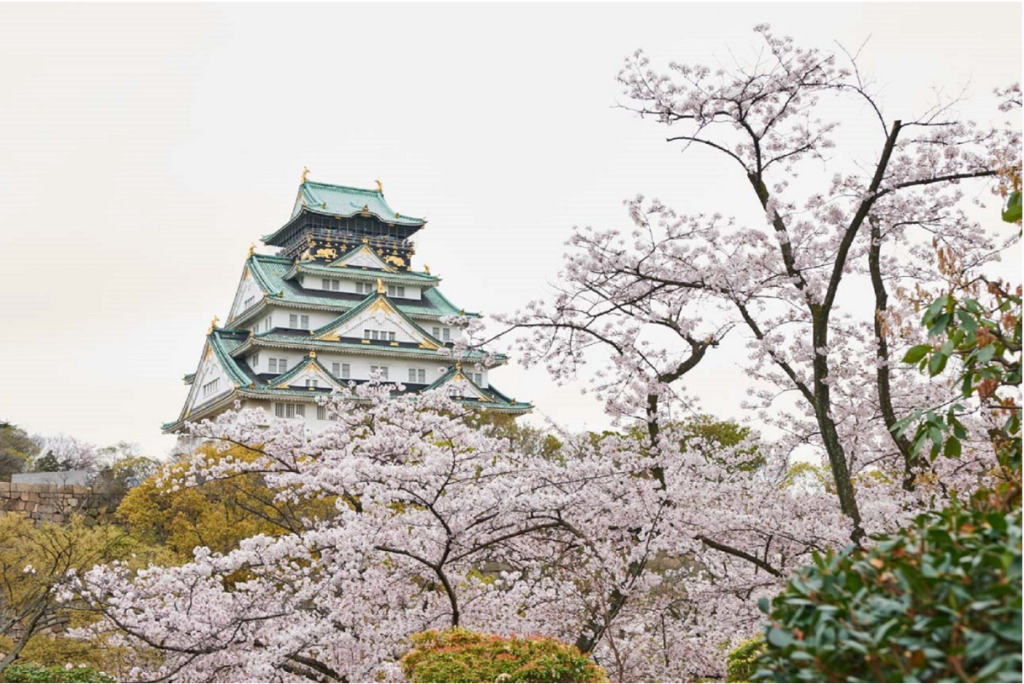 大阪城と桜